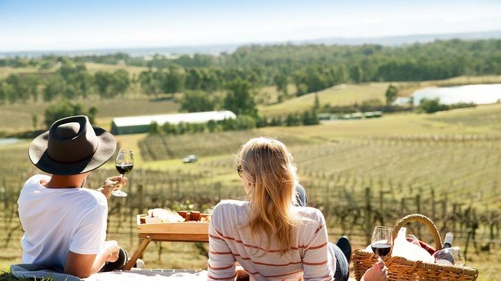 Audrey Wilkinson Vineyard: Picnic, Wine Class, Tasting