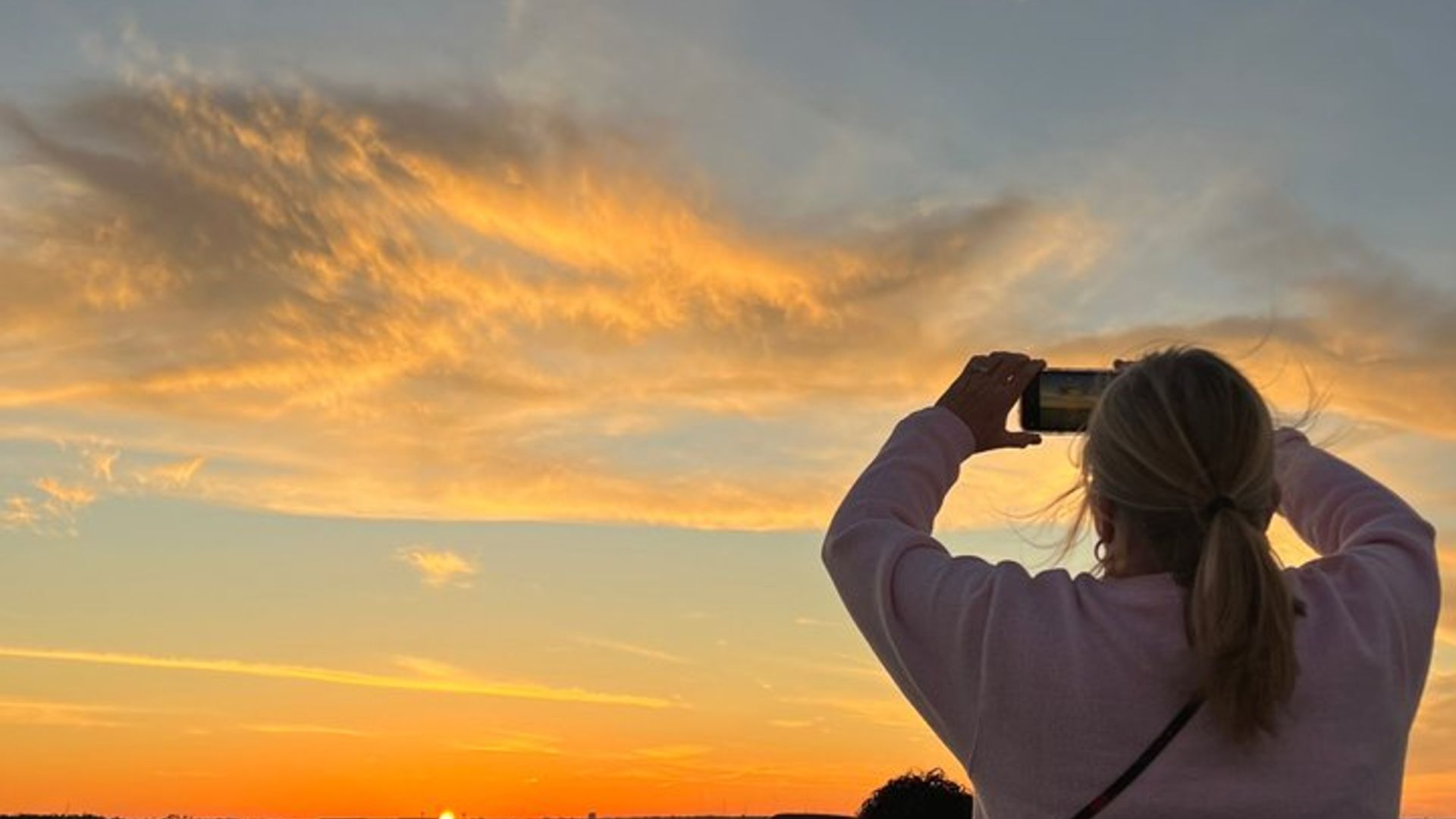 Crucero de observación de delfines al atardecer