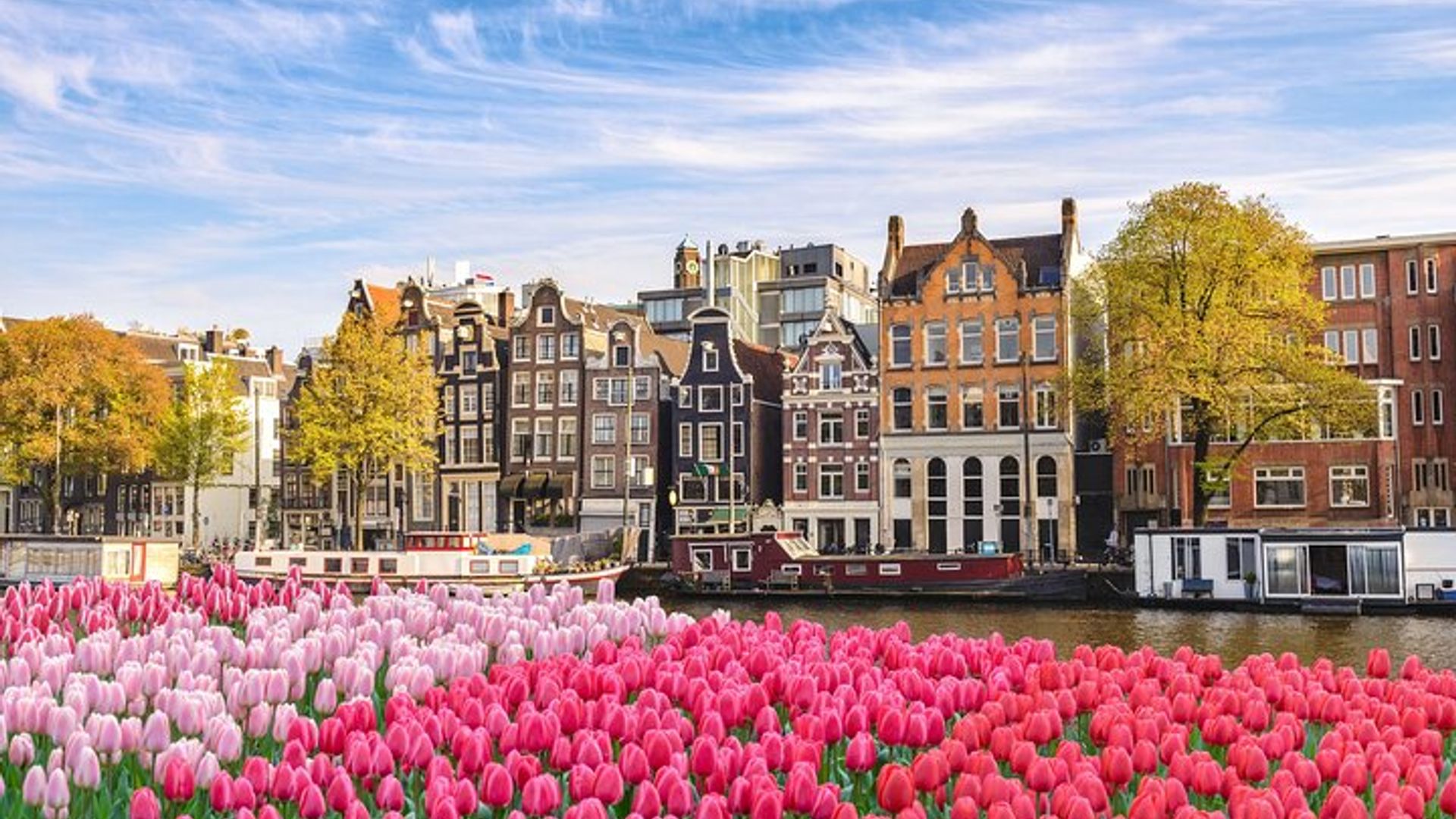 Paris à Amsterdam: Transfert privé avec Brussels Stop