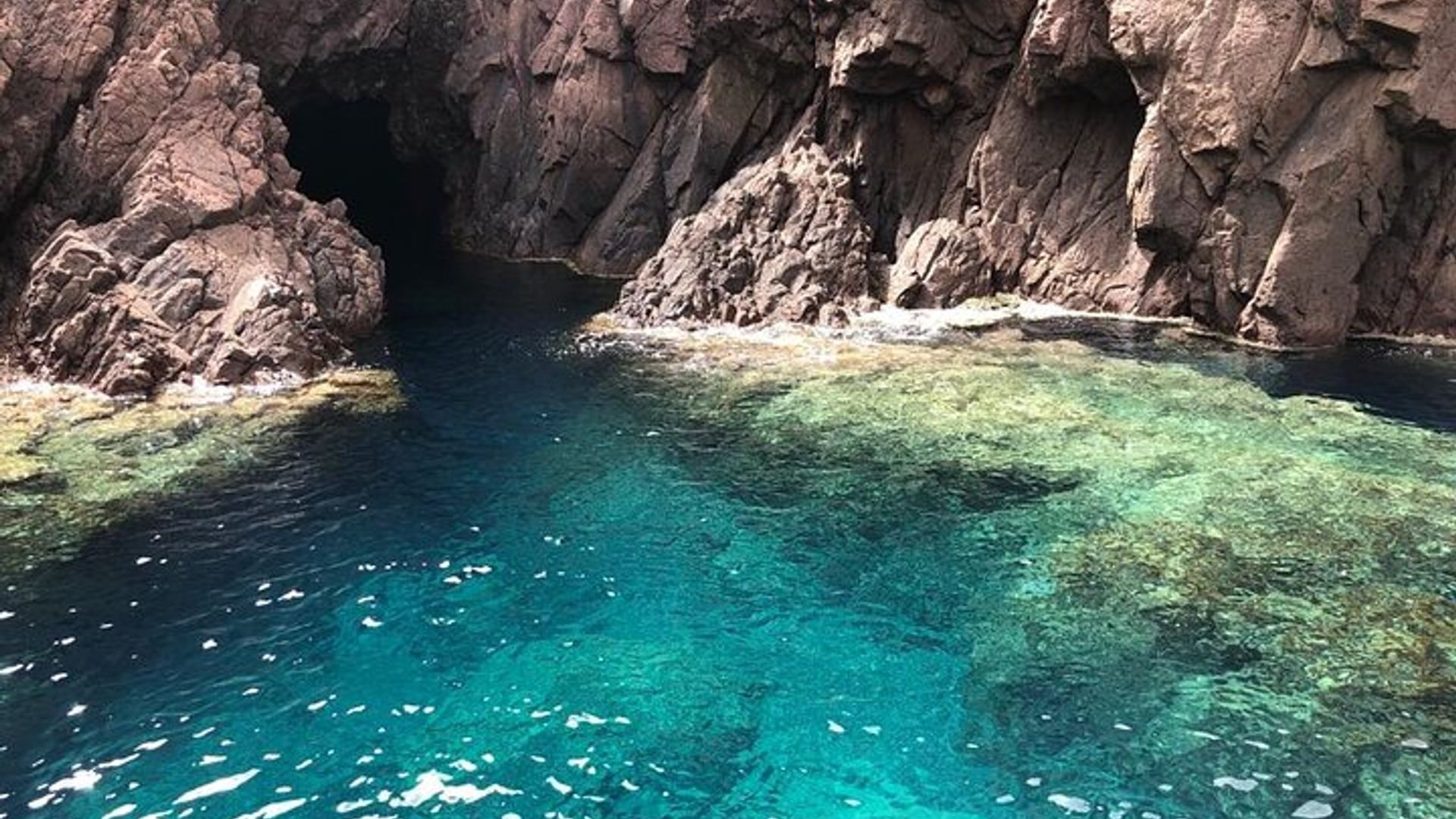 De Sagone/Cargèse: Calanques de Scandola Piana Girolata Natação