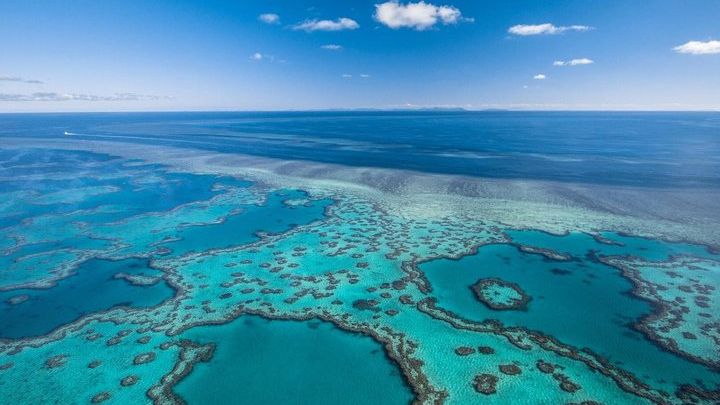 Great Barrier Reef Overnight Reefbed Stay With Meals