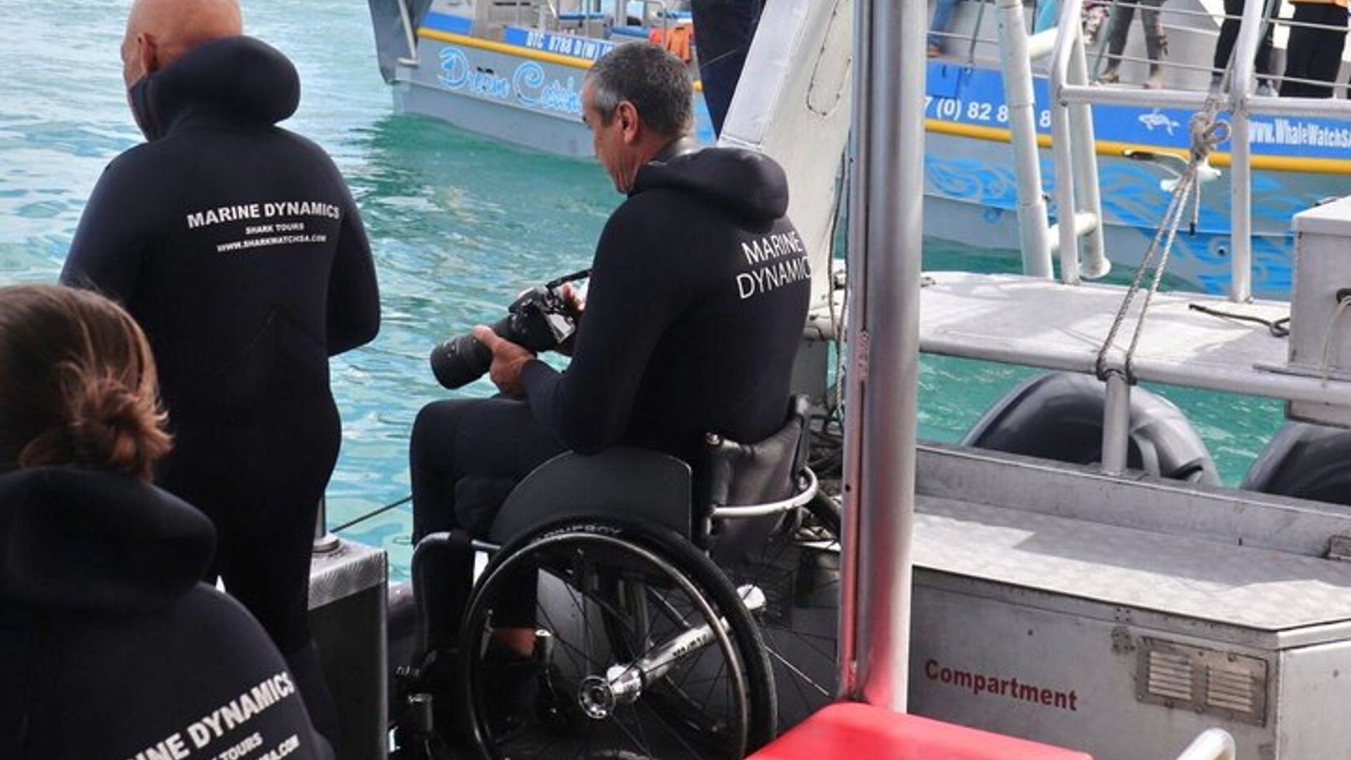 Cape Town: Shark Spotting and Cage Diving With Transfers