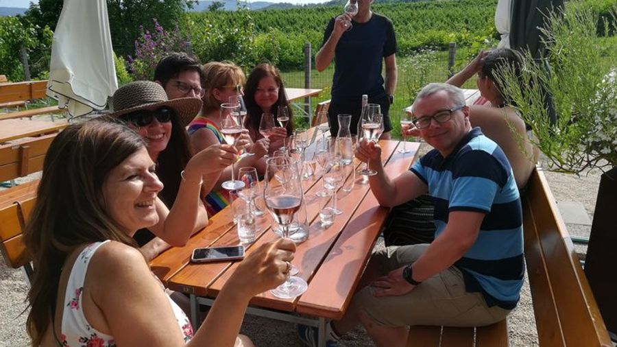 Austria Countryside Half-Day Wine Tour from Vienna