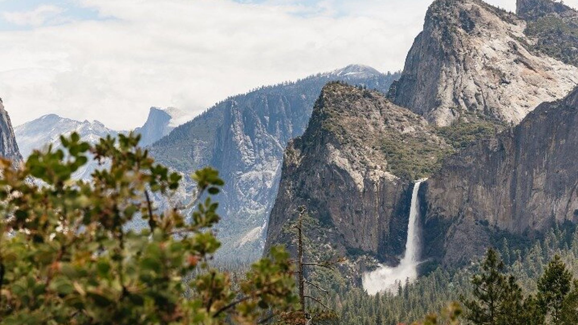 Yosemite National Park Full-Day Coach Tour From San Francisco image 1