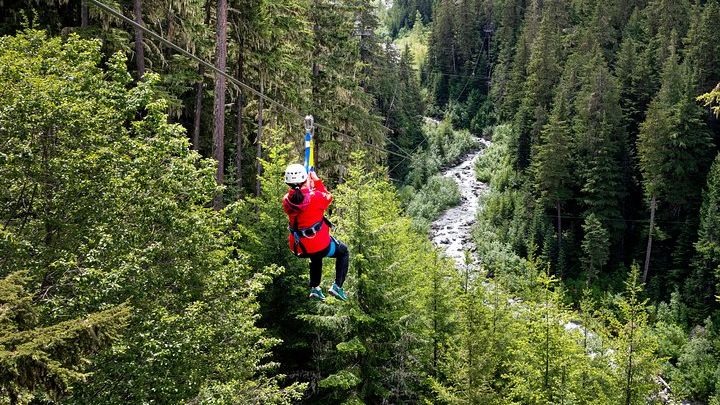 Whistler: Small-Group Nature Zipline Tour