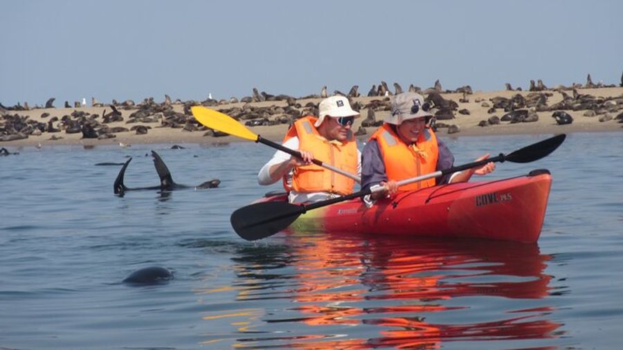 Walvis Bay Half-Day Pelican Point Kayak Tour