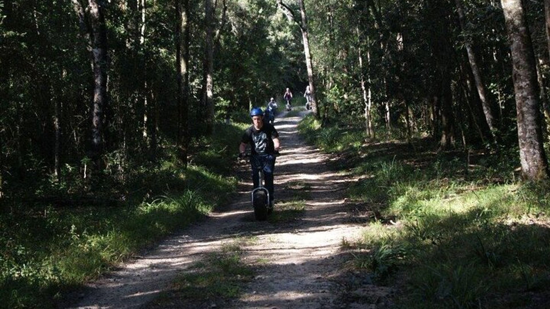 Expérience de descente en scooter dans la forêt de Knysna