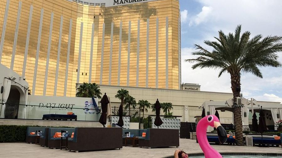 Las Vegas VIP Pool Party Tour with Limousine Party Bus