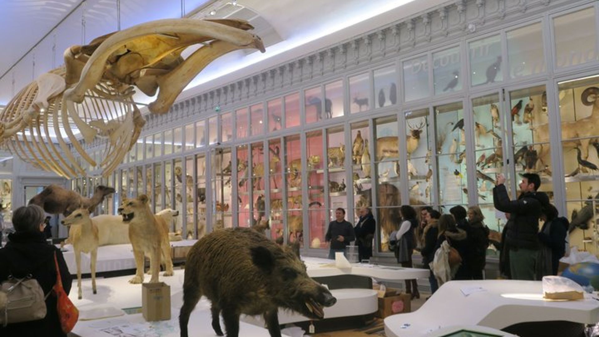 Bordeaux Pass con entrada a la Cité du Vin y billete de transporte