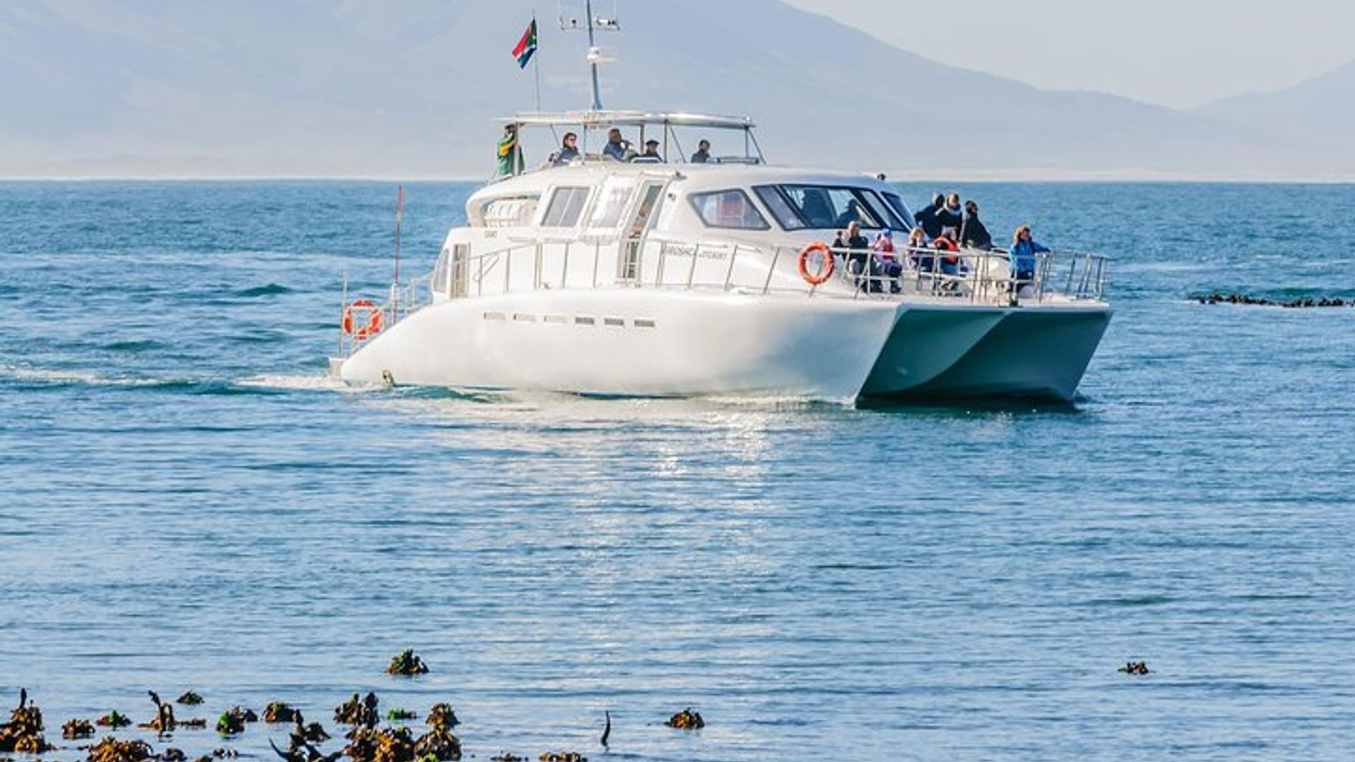 Excursion en bateau pour observer les baleines du Cap à Hermanus avec transferts