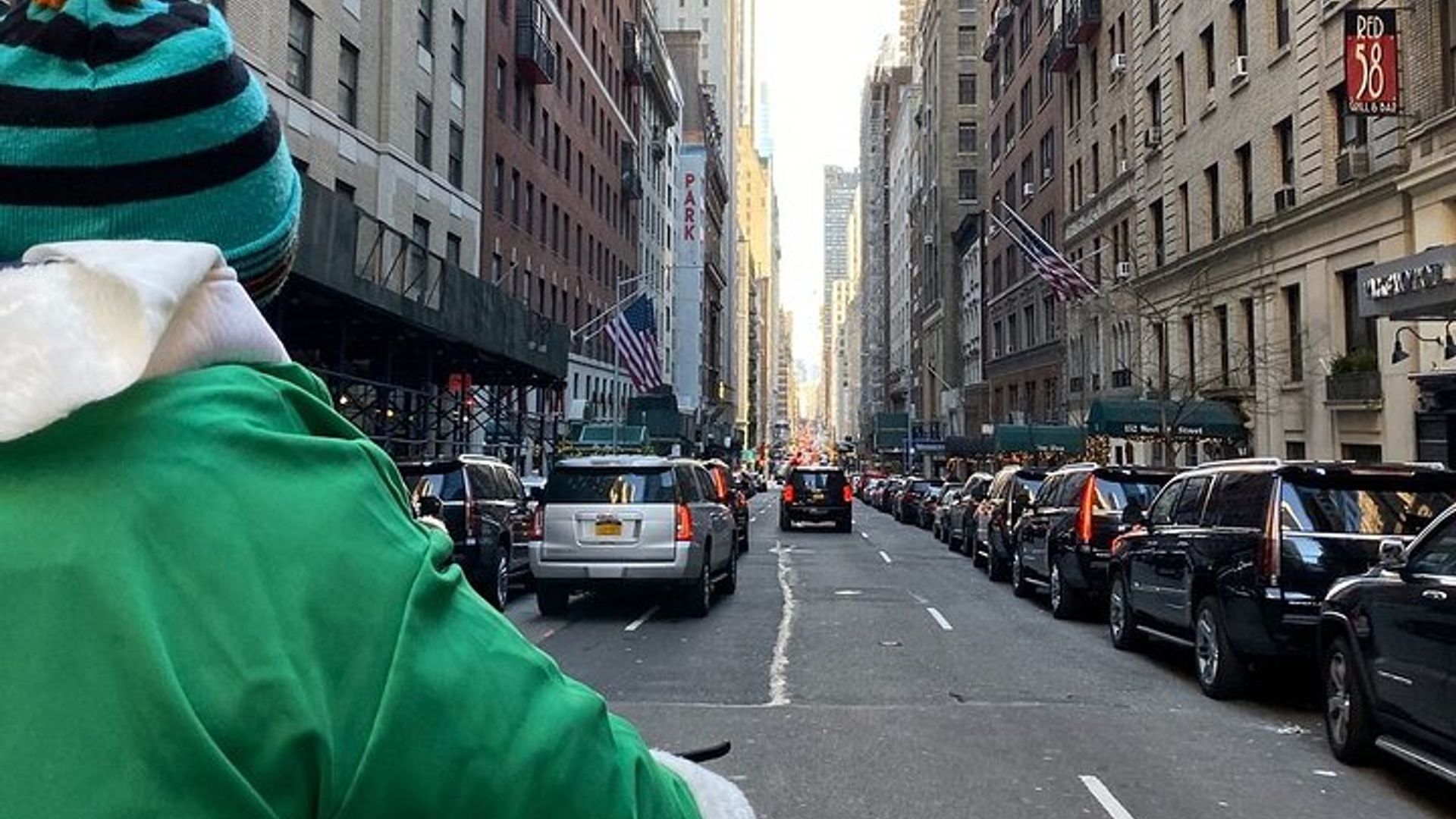 Guided Central Park Pedicab Tour image 1