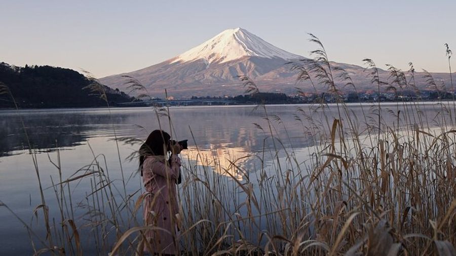 Tokyo: Mt. Fuji, Lake Kawaguchi Private Day Trip With Pickup