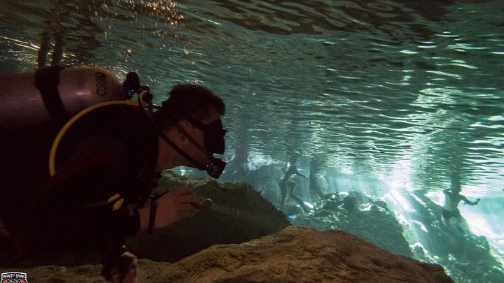 3 Cenote Dives - Casa & Dos Ojos