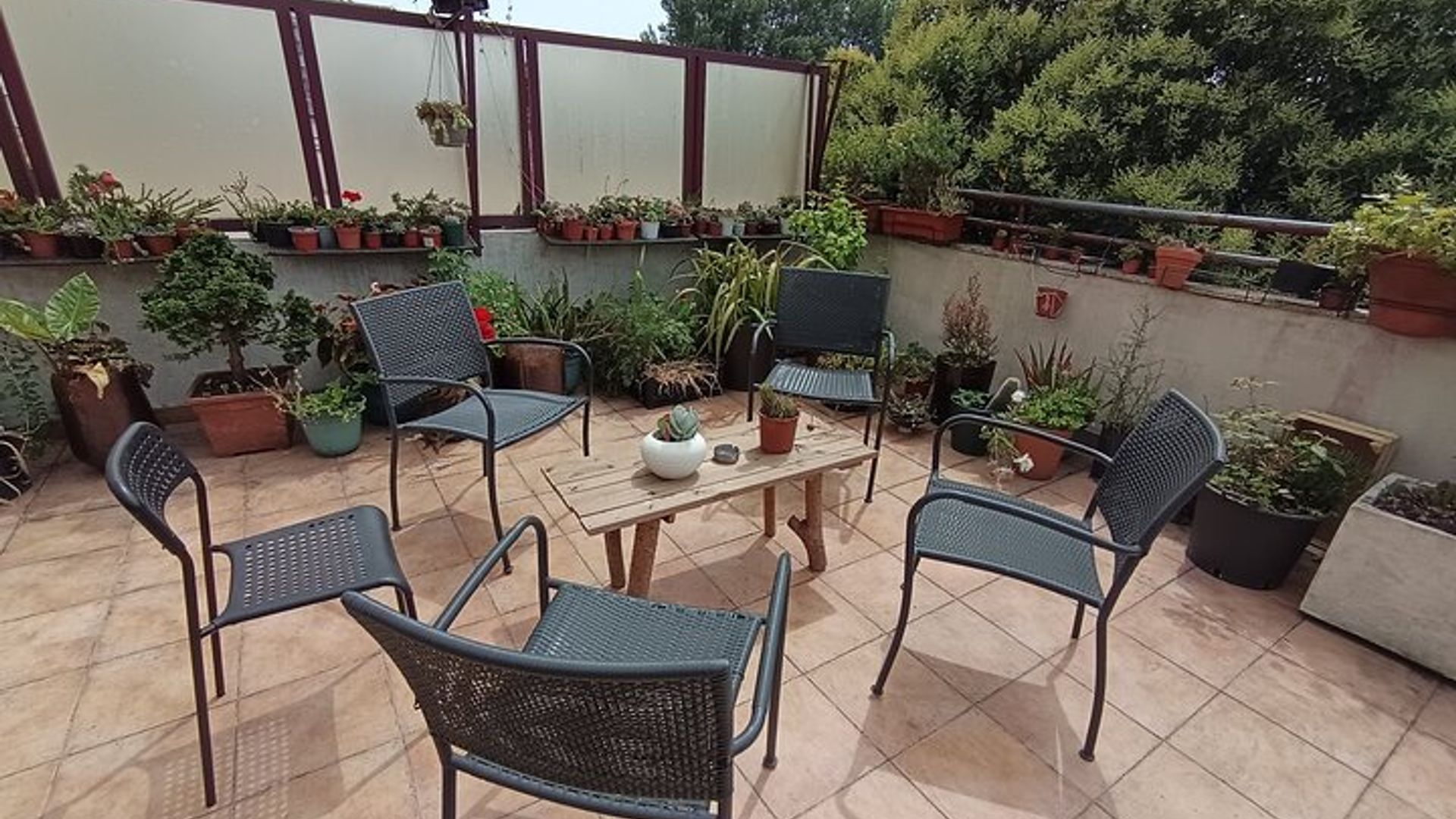 Cours de cuisine portugaise avec Jorge et Isabel en terrasse
