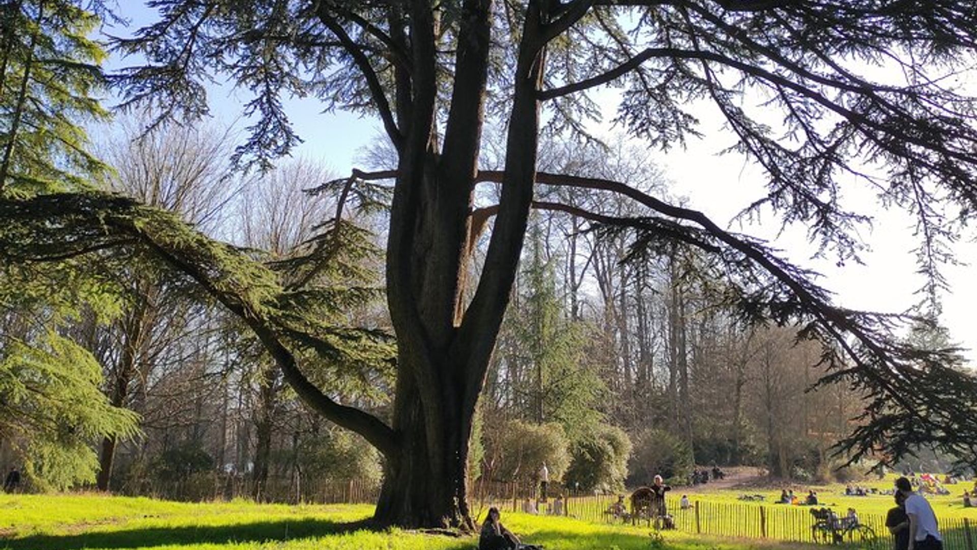 Private Tour Tete d Or