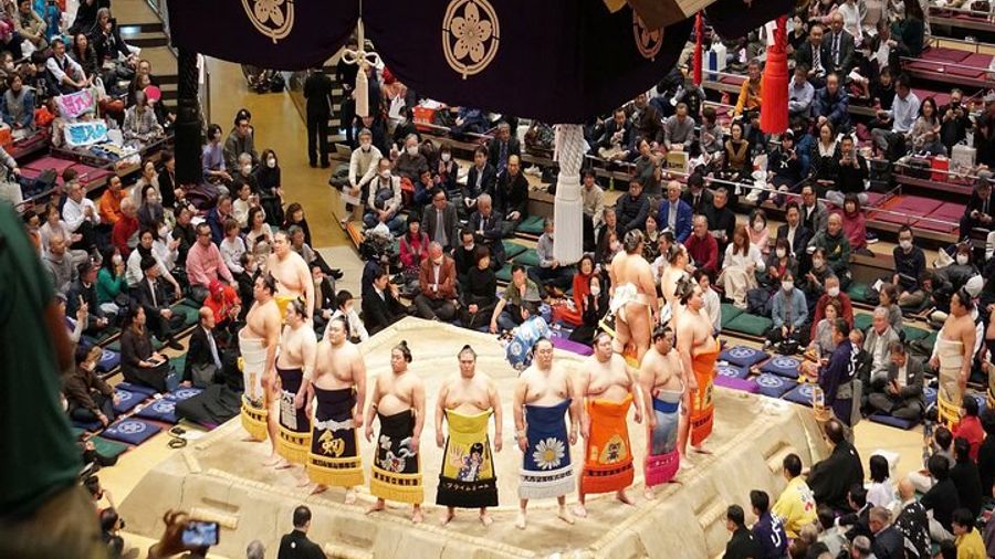 Tokyo, Osaka, Nagoya, and Fukuoka Join-in Sumo Tournament Experience
