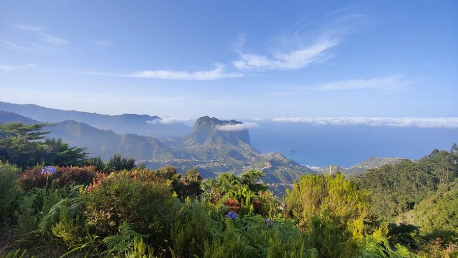 Madeira Full-Day Wonder and Nature Tour in A 4x4