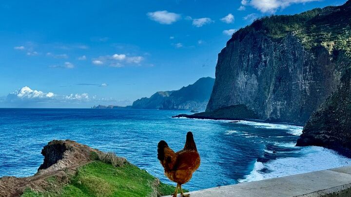 Madeira East and Northeast Guided Tour in a 4x4 Jeep