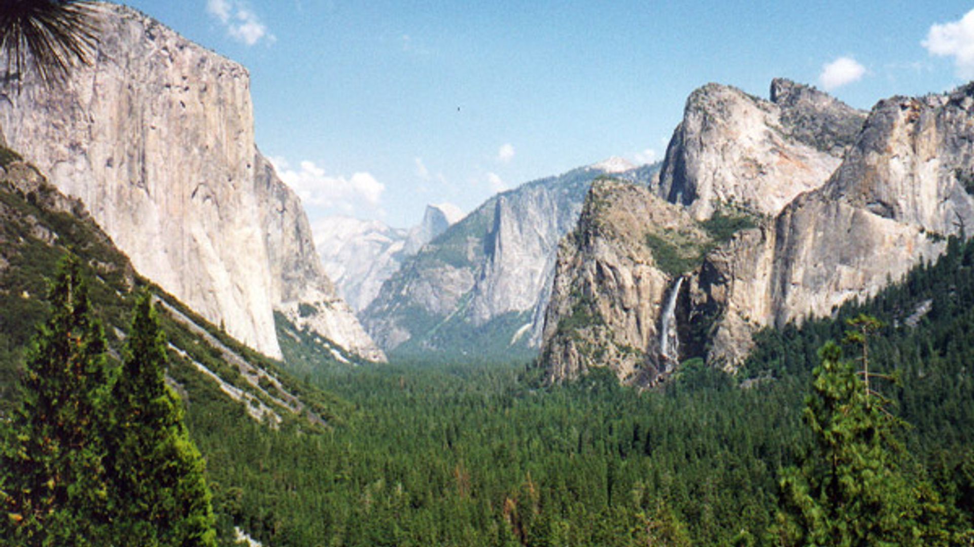 Yosemite National Park image 1