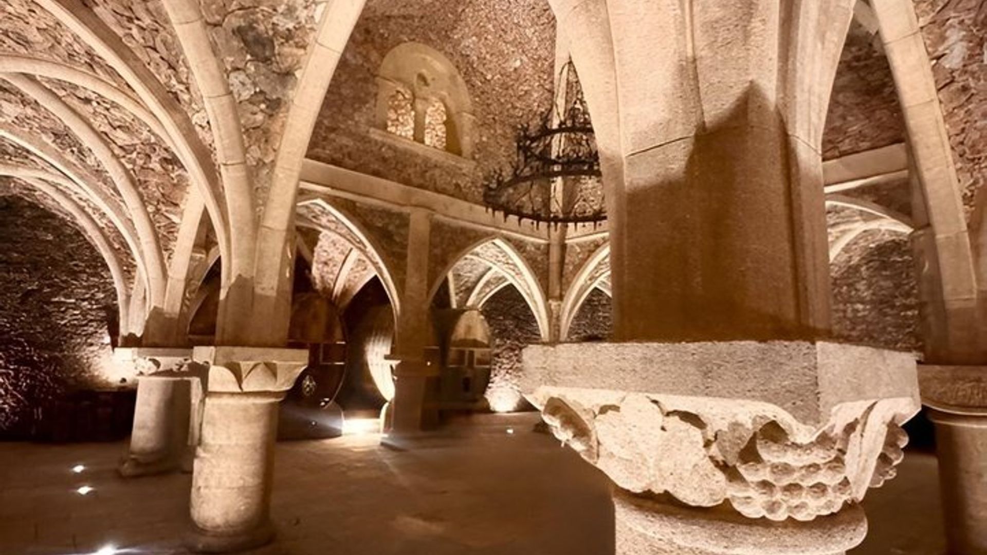 Excursión al vino de Provenza desde el puerto de cruceros de Cannes