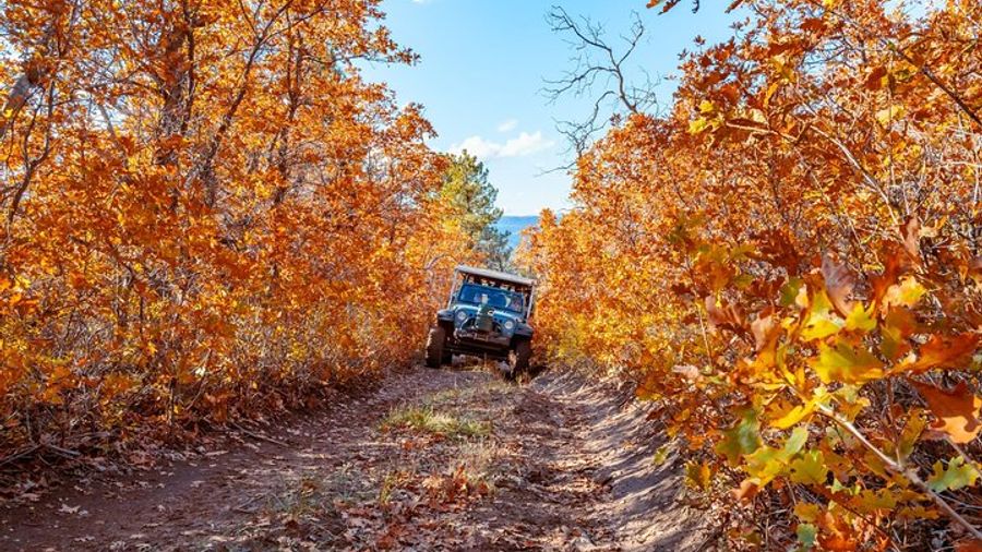East Zion Brushy Cove Jeep Tour