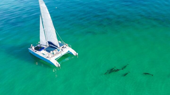 Kayak + Guided Snorkel & Morning Sail hosted by Honest Eco