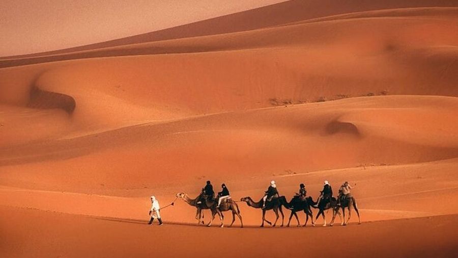 Morocco in 7 Nights: Private Tour from Casablanca to Marrakech