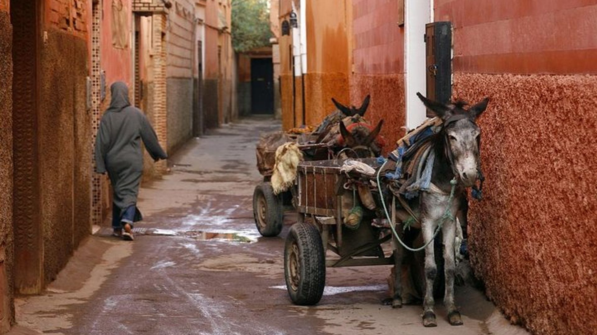 Marrakech : Visite guidée privée d'une demi-journée