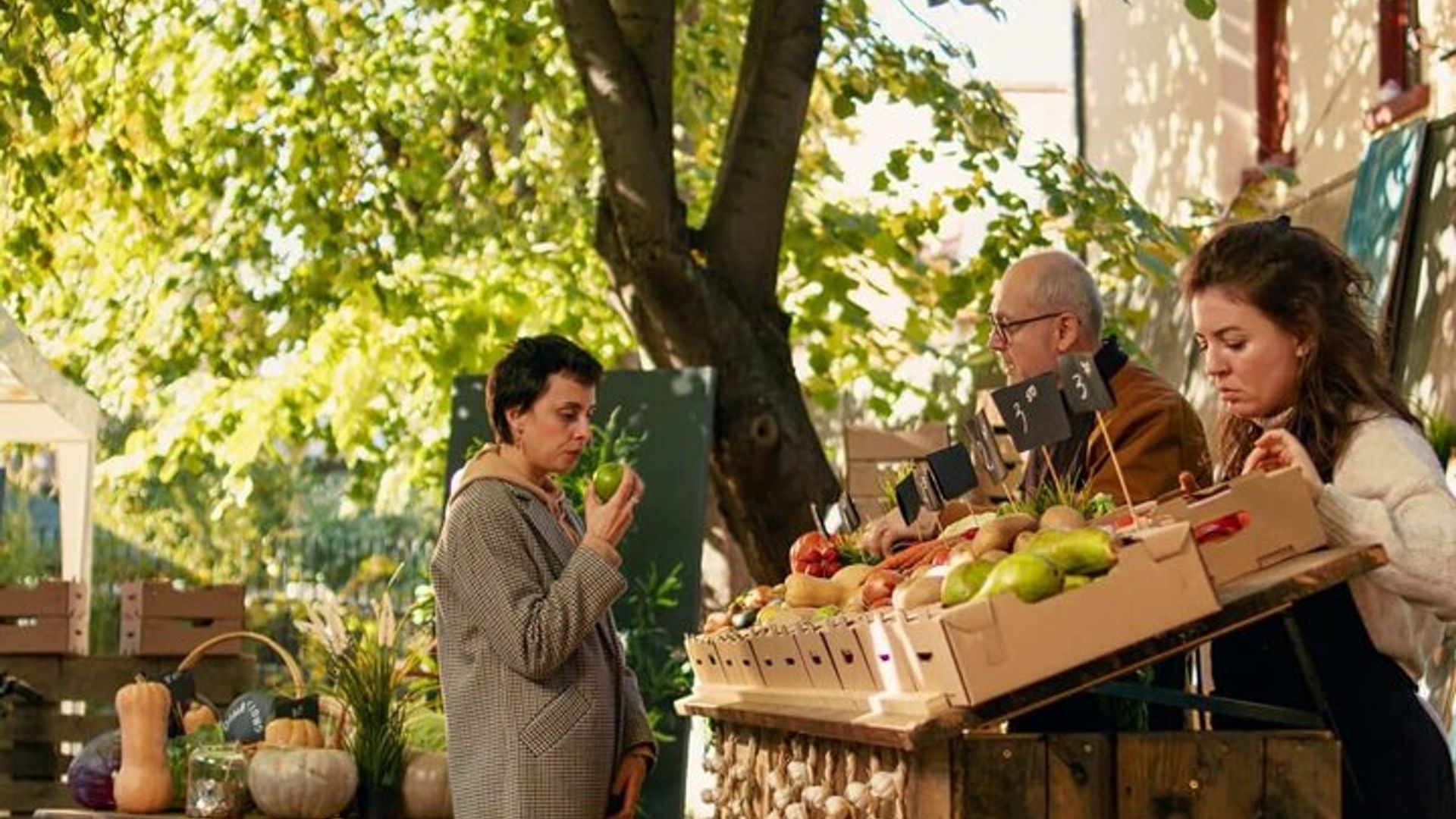 Hello Orange : Private 2 - Heure Intro City Walk avec Guide Local