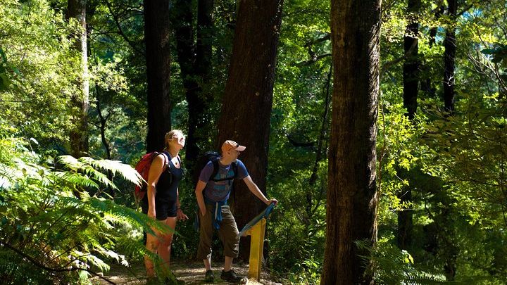 Queen Charlotte Track Self-Guided Walk from Picton