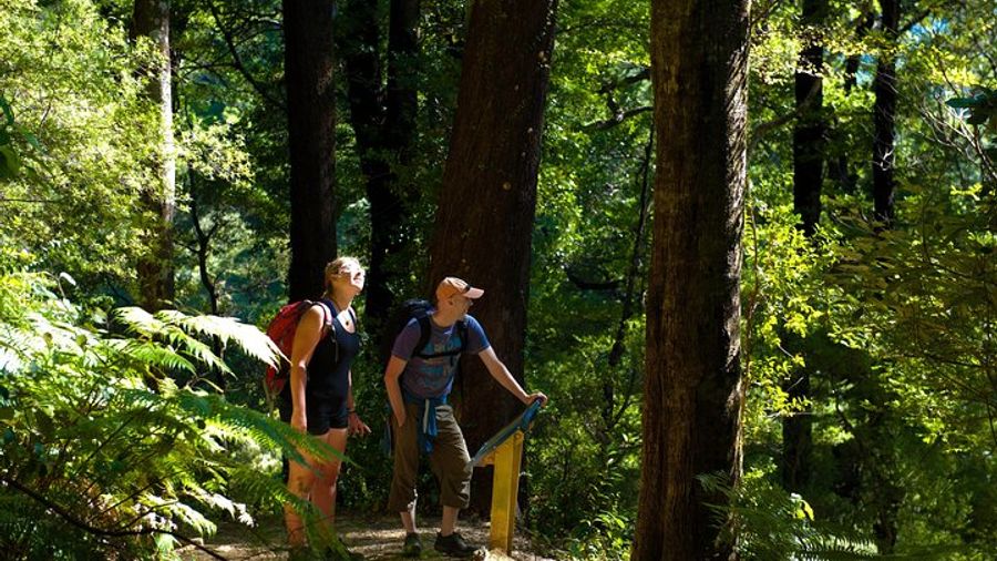 Queen Charlotte Track Self-Guided Walk from Picton