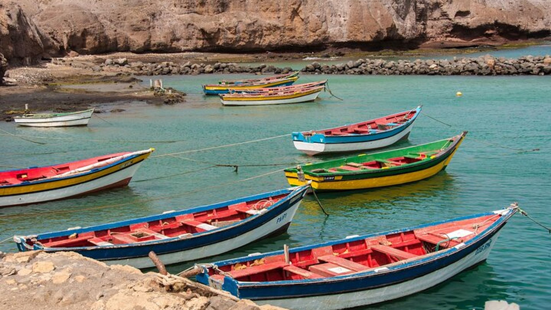 Von Sal Island Blu eye Salzsee Zitronenhaie und Palmeira