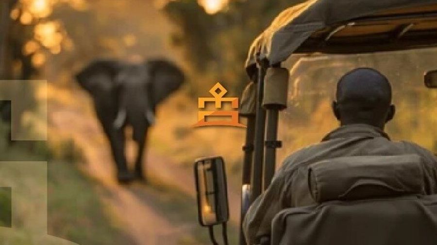 Full Day Ultimate Pilanesberg National Park Safari from Johannesburg or Pretoria