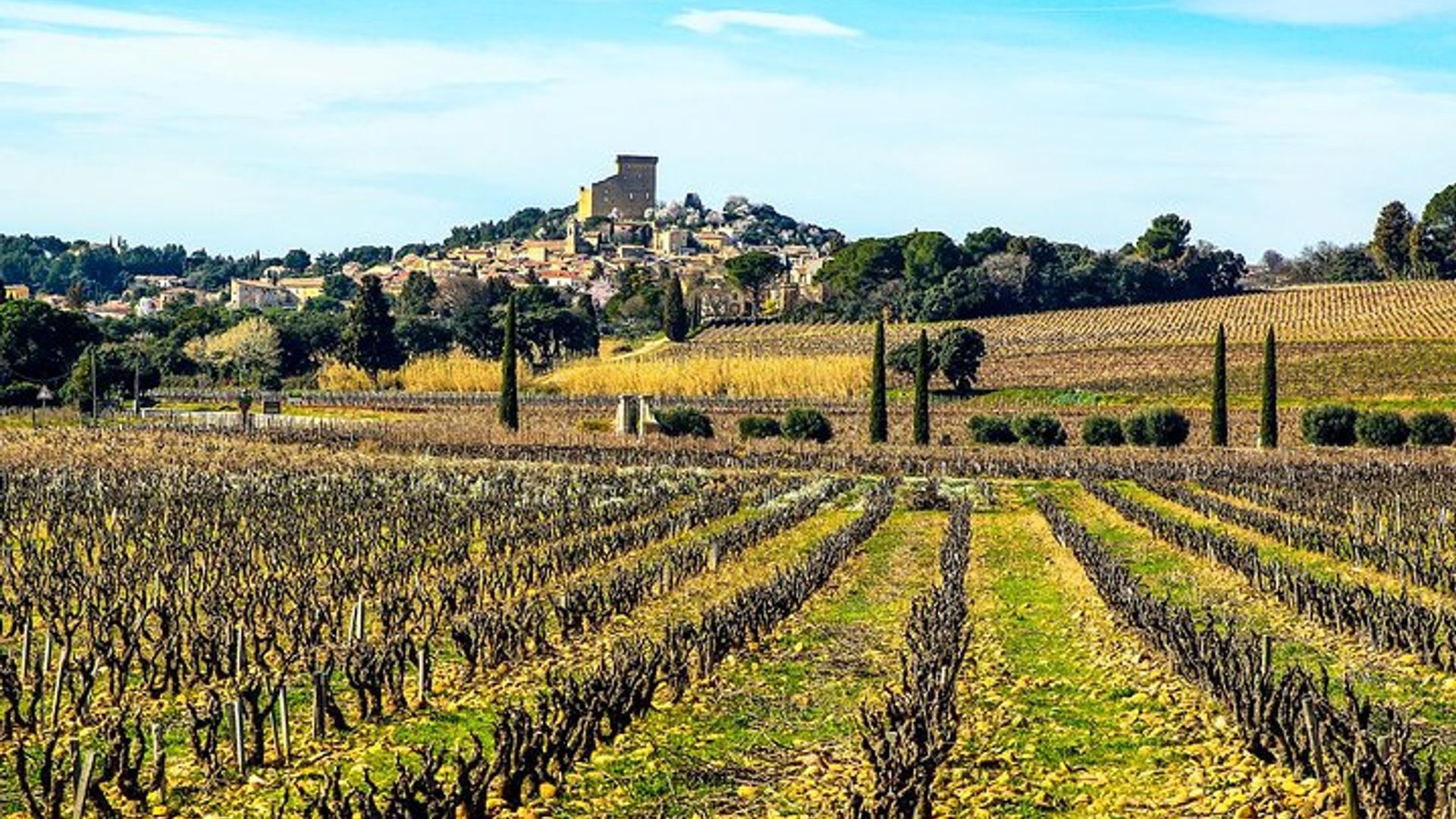 Châteauneuf Du Pape intensive vineyard & fine wine experience