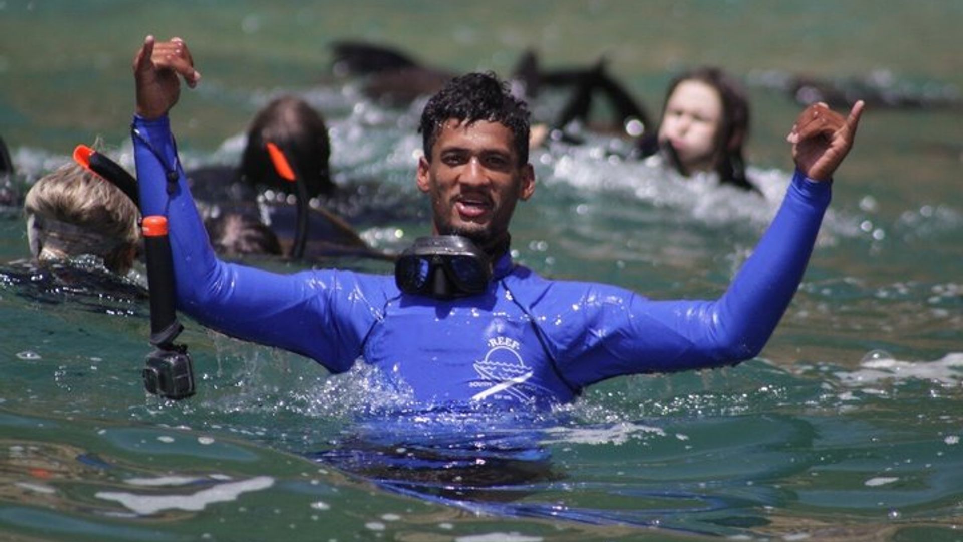 Activité de nage des phoques dans la baie de Plettenberg