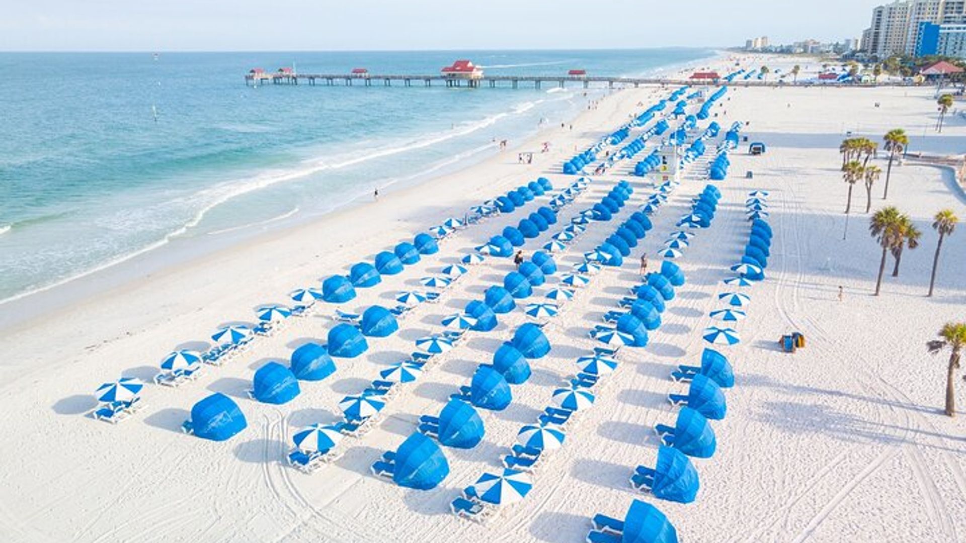 El paseo en el barco Sea Screamer en playa Clearwater con transporte