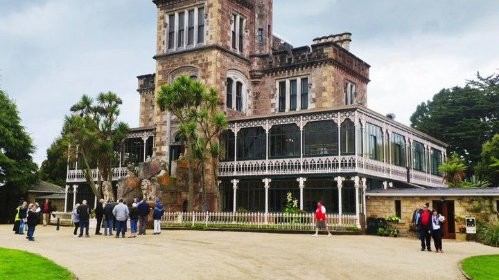Dunedin and Otago Peninsula Small-Group Intro Tour