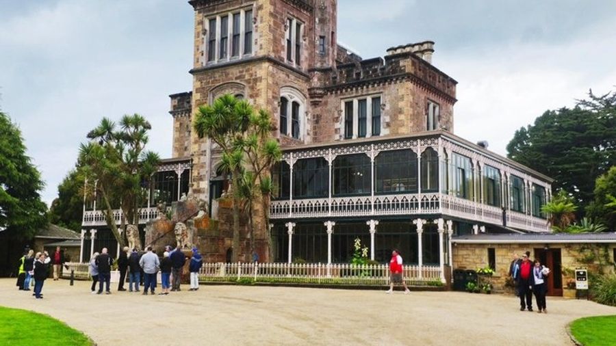 Dunedin and Otago Peninsula Small-Group Intro Tour