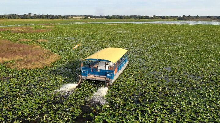 Florida Everglades Boat Tour and Pontoon Cruise in Kissimee