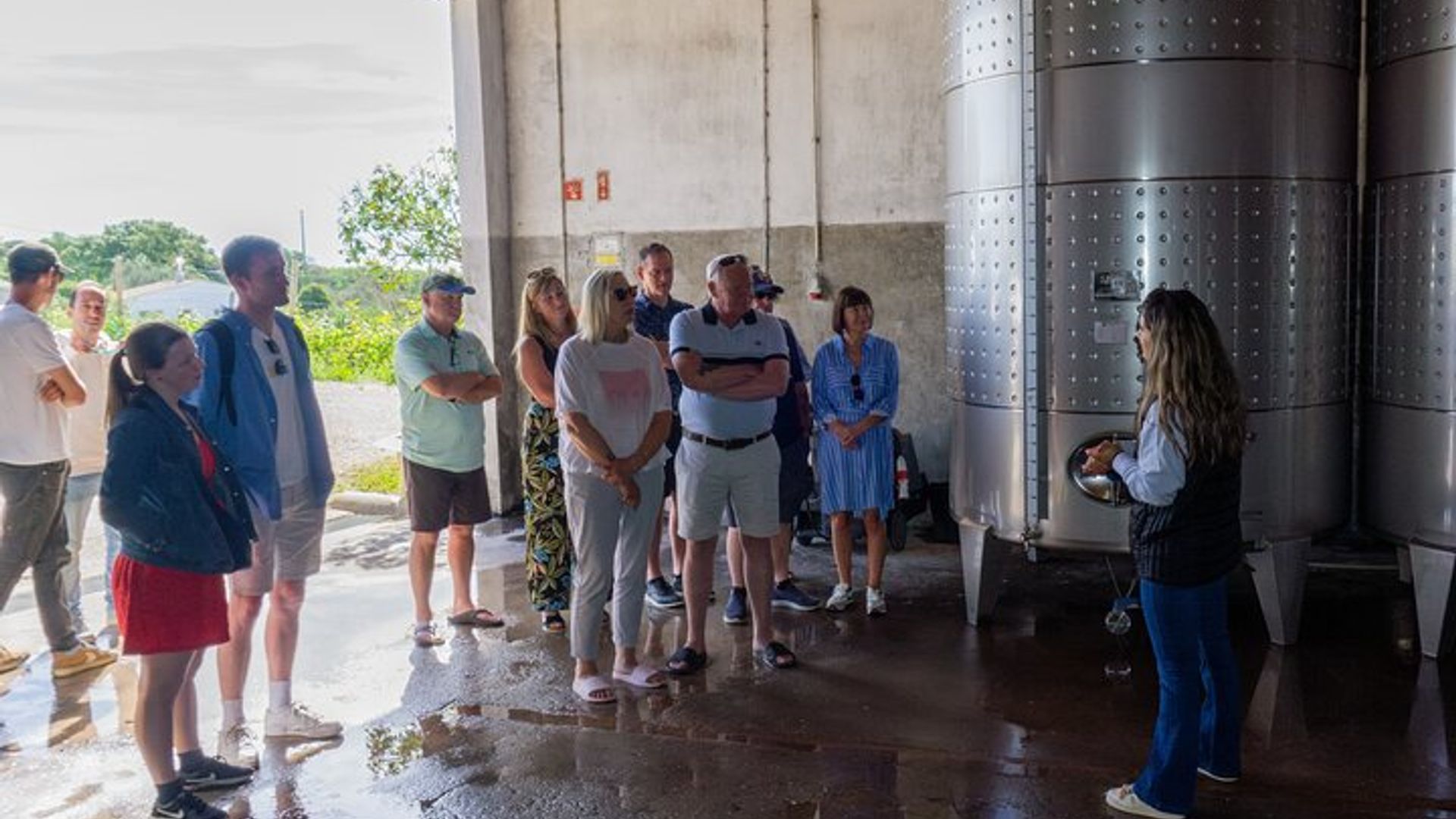 Albufeira Wine Tasting: Boutique Winery Tour & Historic Silves