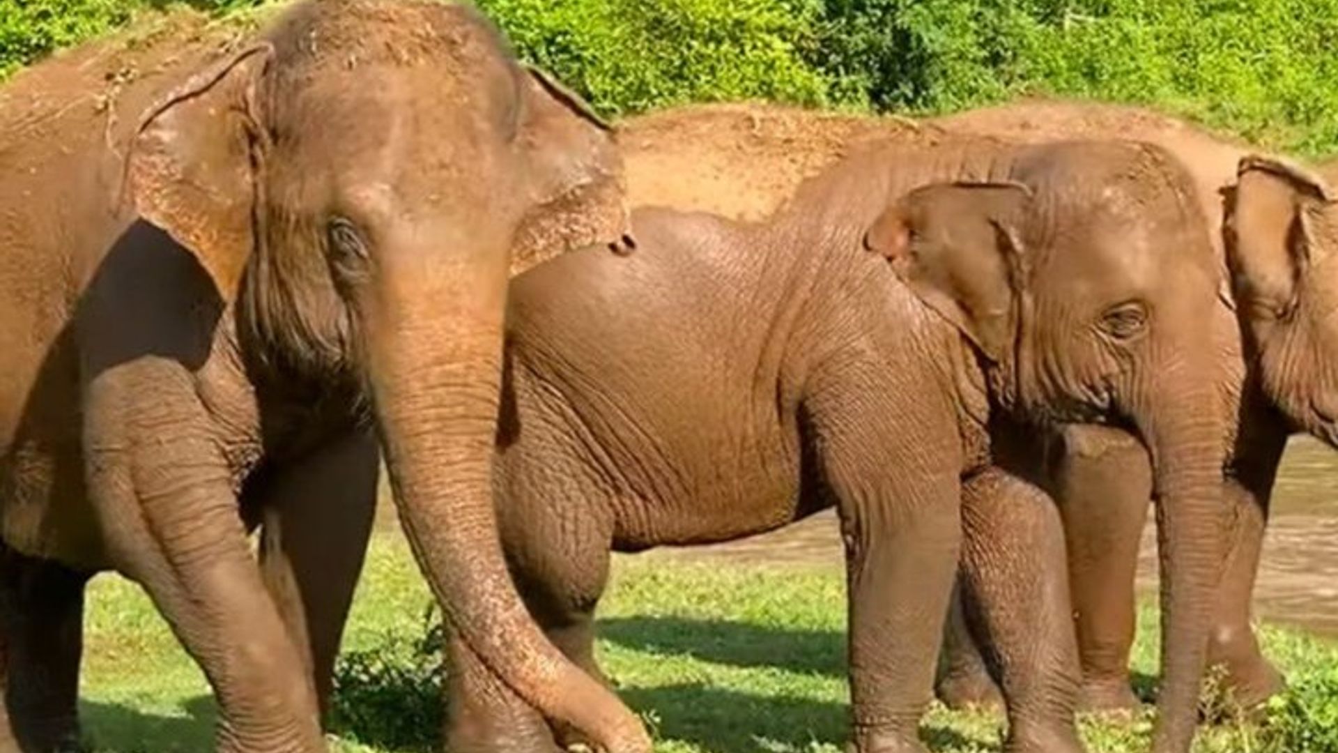 Safari de 4 días en grupo pequeño desde Ciudad del Cabo comienza cualquier día