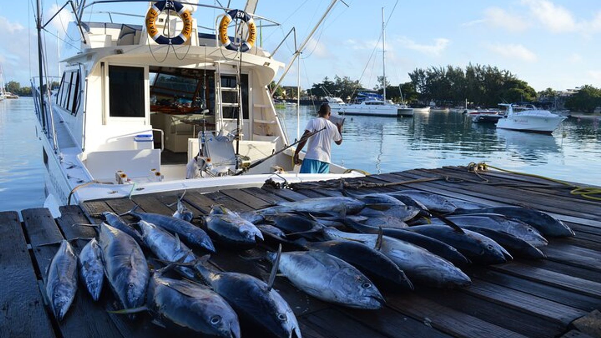 Private Grand Baie Mauritius Angelerlebnis Tour