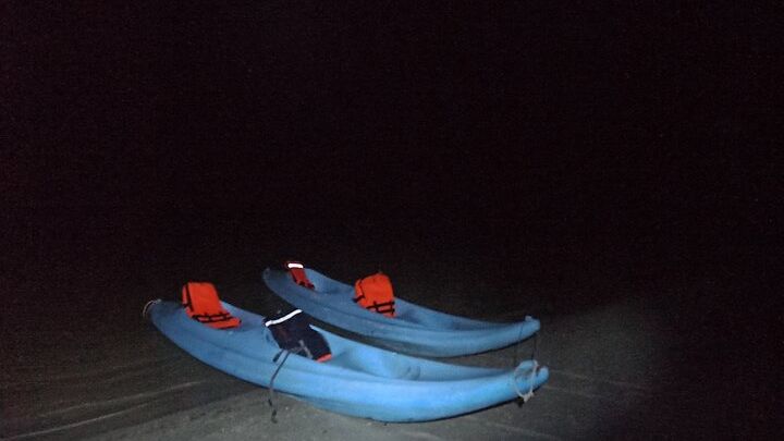 Bioluminescence Tour in Kayak in Holbox Island