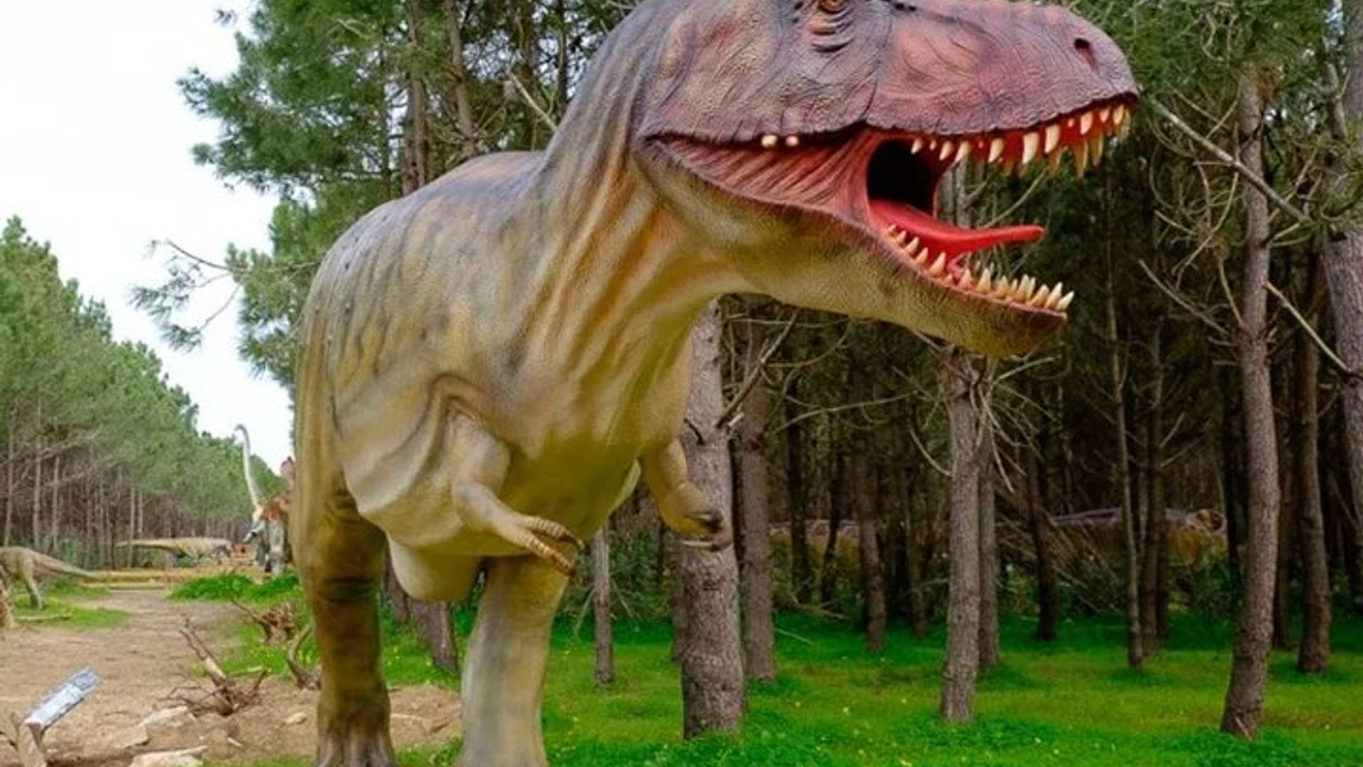 Lisbonne : Visite du parc des dinosaures avec transport privé aller-retour