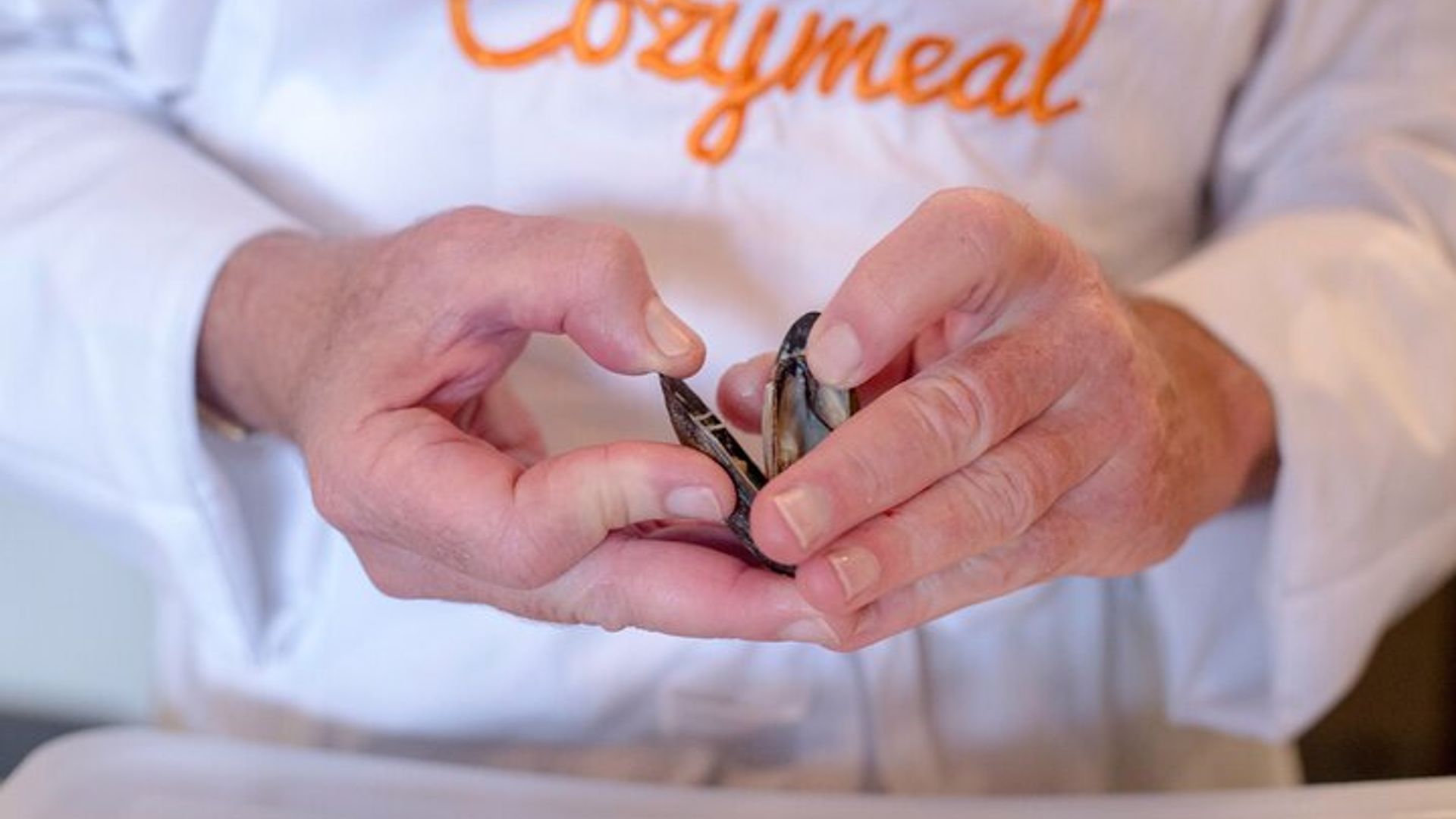 Tapas Cooking Class Near Las Ramblas + Wine (4-Course Meal)