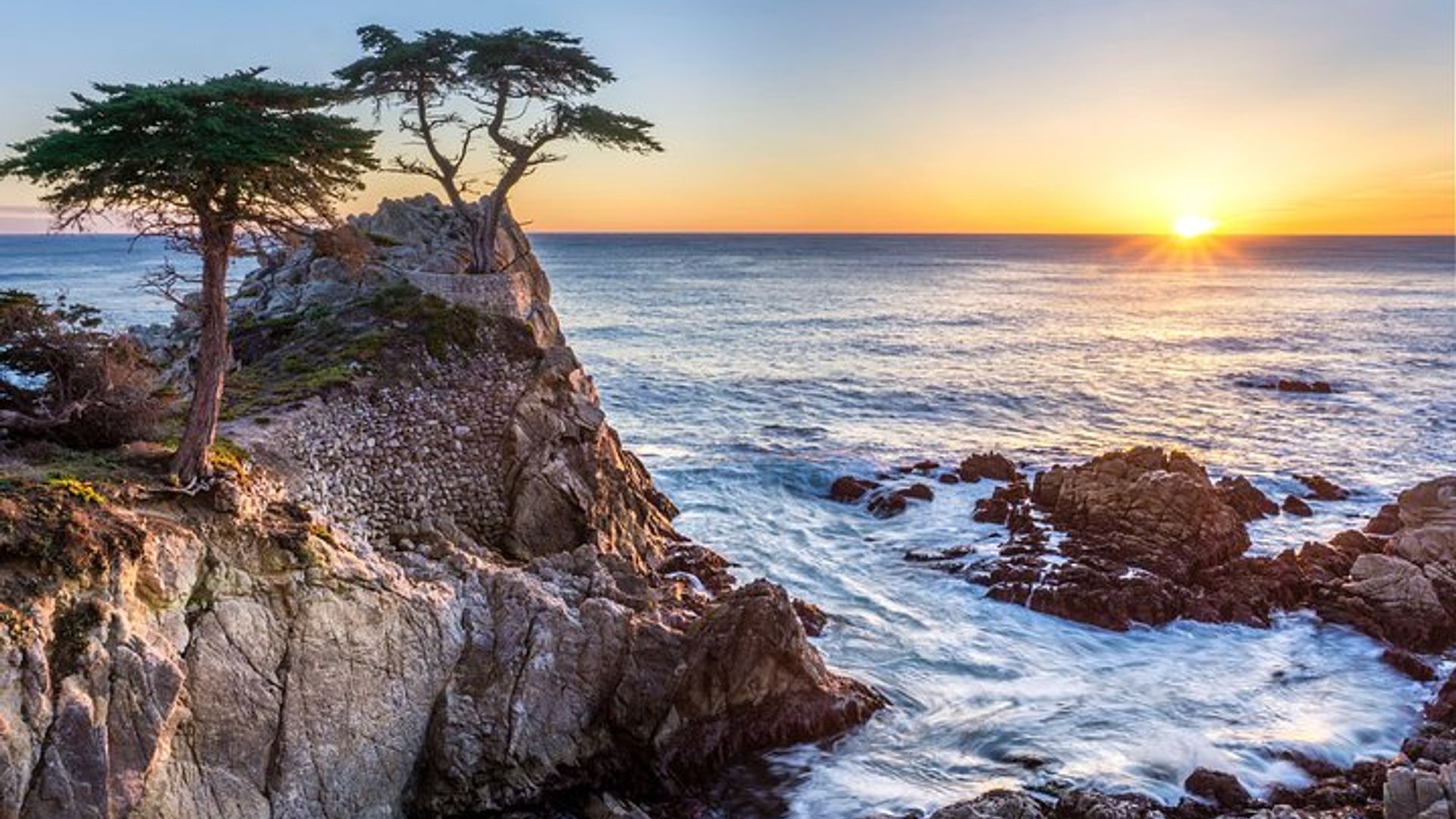 Monterey, Carmel & 17-Mile Drive Day Trip from San Francisco image 2