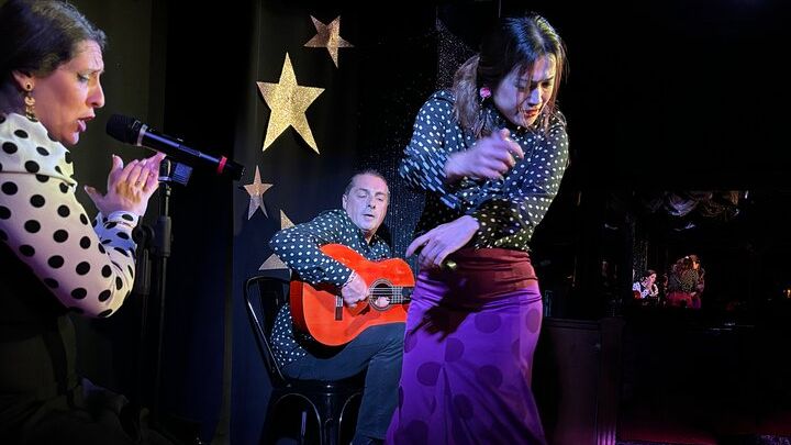 Flamenco Benalmadena Show