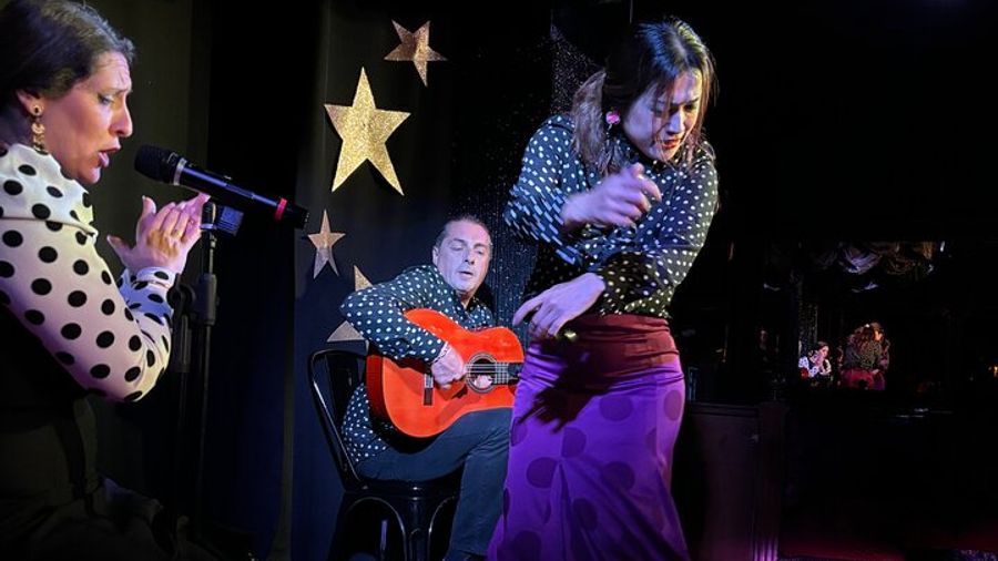 Flamenco Benalmadena Show