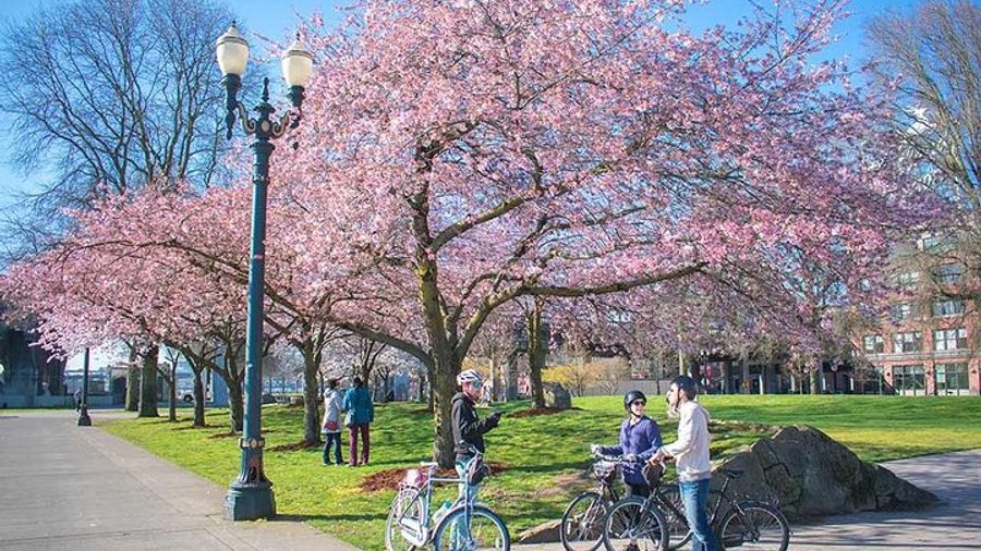 Essential Portland Oregon Bike and E-Bike Tour!