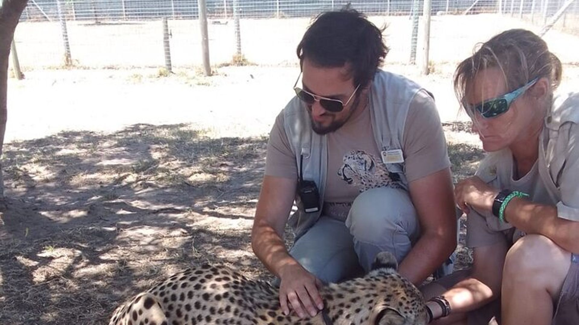 Cheetah Outreach, Gordon’s Bay und Strand Beach Tour